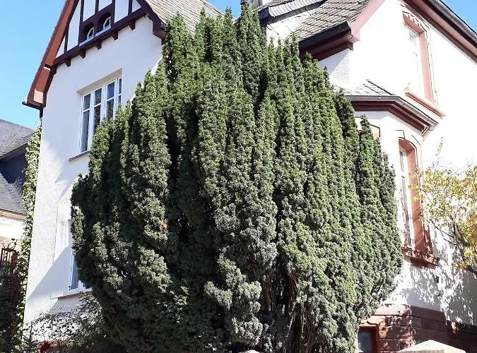 Bismarckstrasse 8